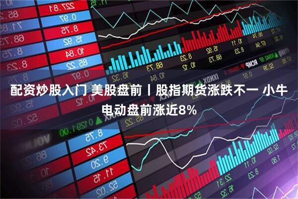 配资炒股入门 美股盘前丨股指期货涨跌不一 小牛电动盘前涨近8%