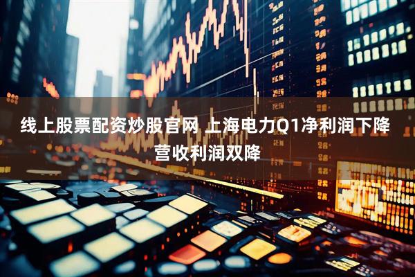 线上股票配资炒股官网 上海电力Q1净利润下降 营收利润双降